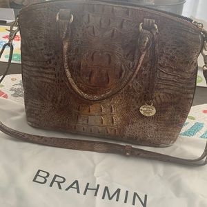 Brahmin pocketbook